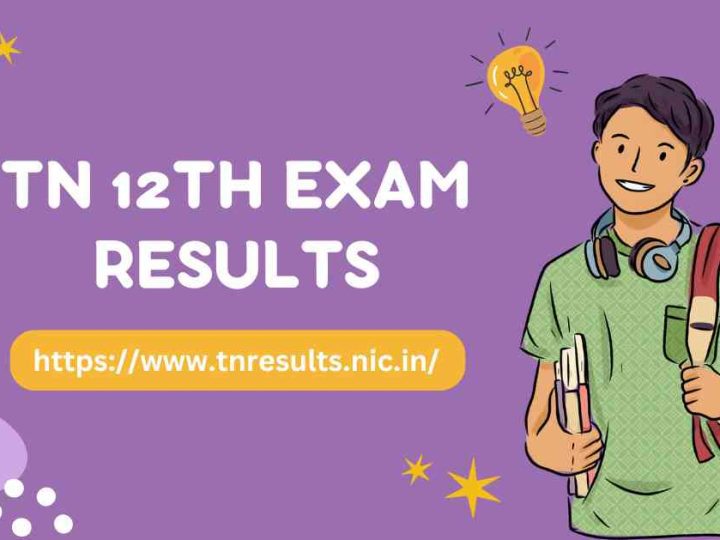 TN 12th Exam Results and Download Information in 2024